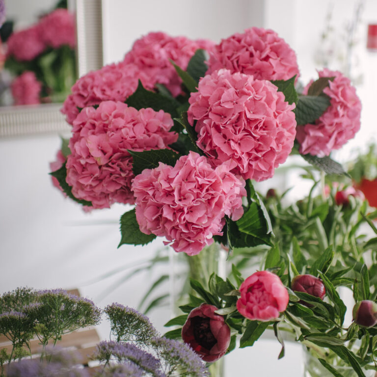 How to Keep Flowers Fresh in Your Flower Shop