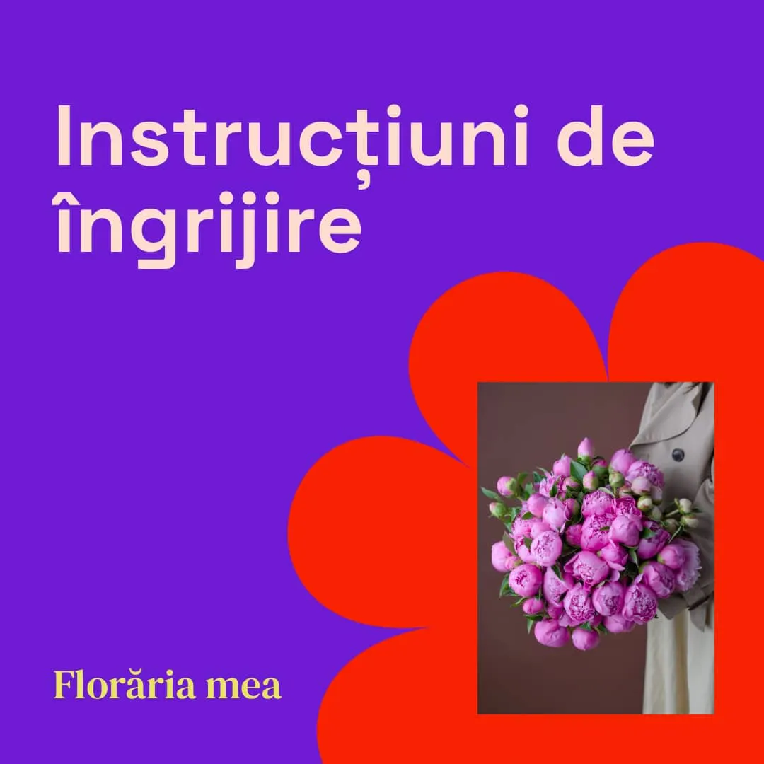 The care card you hand over with the bouquet: what to write on it