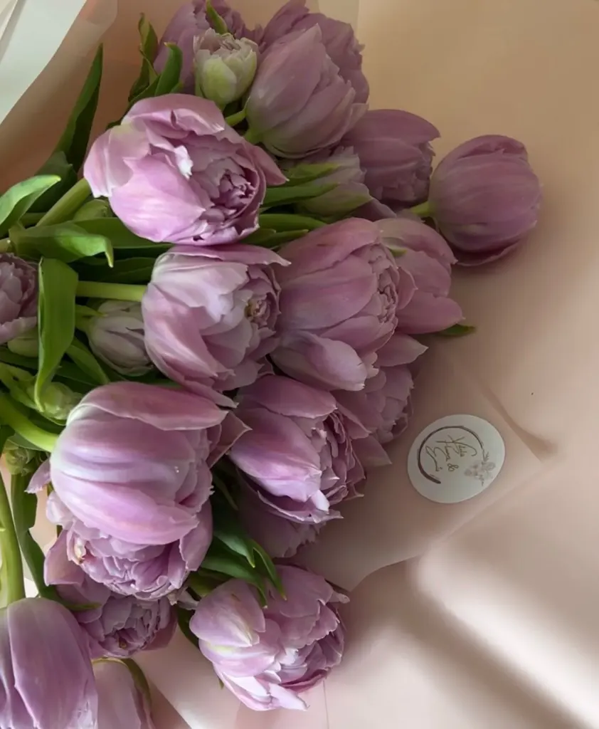 Vitelis Flowers Iași4